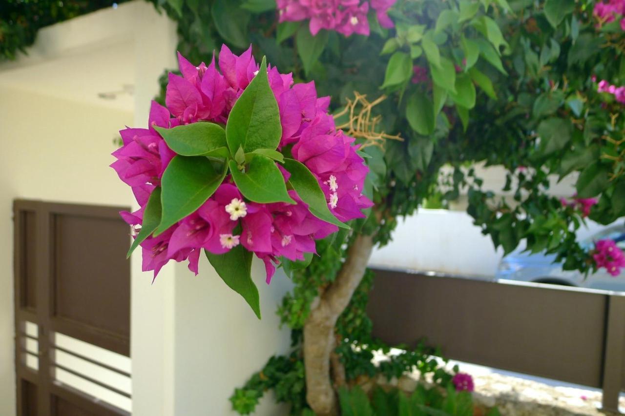 Maria & Manos Guest House, Agios Onoufrios Beach Exteriér fotografie